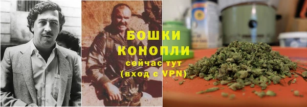 амф Аркадак