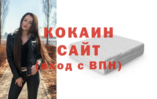 индика Армянск