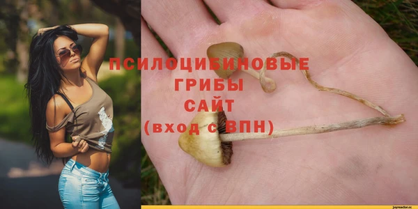 индика Армянск