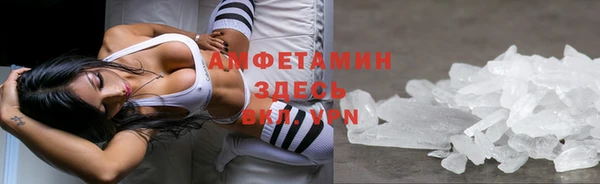 индика Армянск