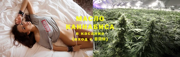 индика Армянск