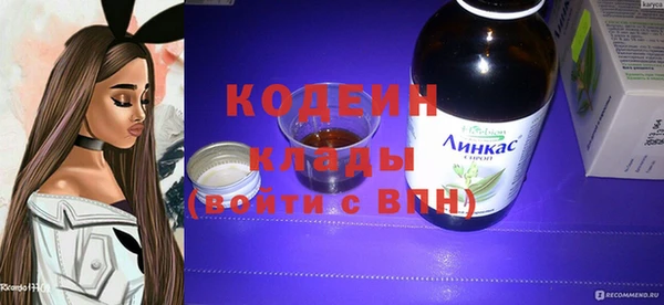 индика Армянск