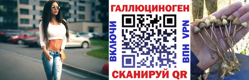 Галлюциногенные грибы MAGIC MUSHROOMS  продажа наркотиков  Бабаево 